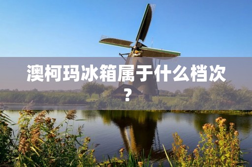 澳柯玛冰箱属于什么档次？