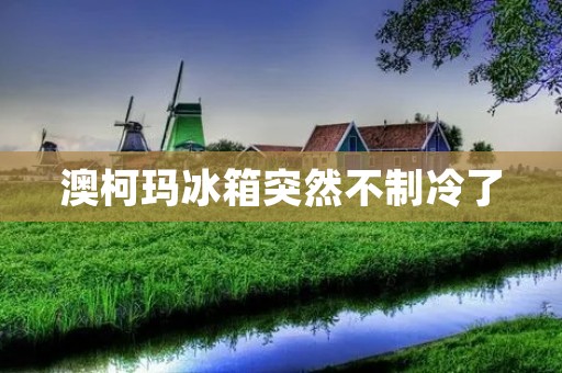 澳柯玛冰箱突然不制冷了