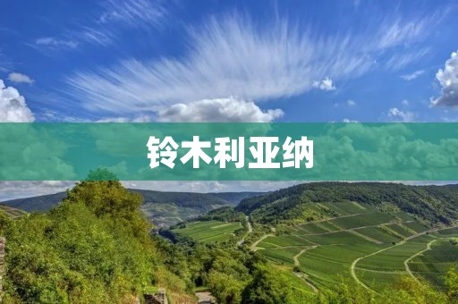 铃木利亚纳：小巧灵动的城市代步利器