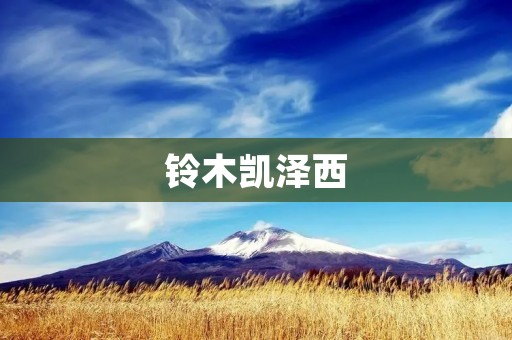 铃木凯泽西:传奇车手的辉煌征程 铃木凯泽西:传奇车手的辉煌征程