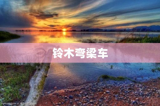 铃木弯梁车:纯粹而极致的驾驶体验