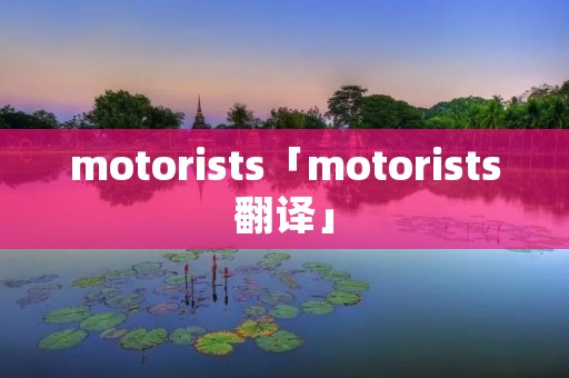 motorists「motorists翻译」