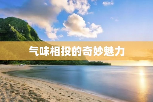 气味相投的奇妙魅力
