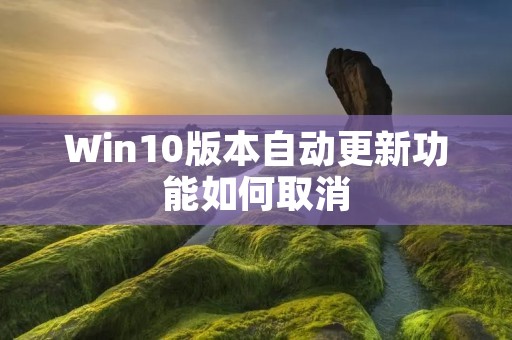 Win10版本自动更新功能如何取消