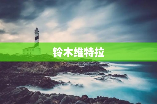铃木维特拉:城市越野之王