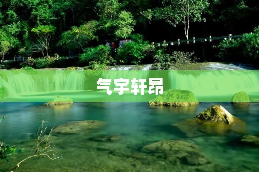 气宇轩昂:展现个人魅力与自信的艺术