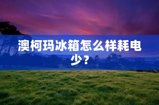 澳柯玛冰箱怎么样耗电少？