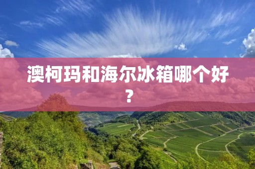 澳柯玛和海尔冰箱哪个好? 澳柯玛和海尔冰箱哪个好?