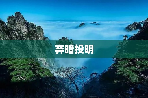 弃暗投明:追寻光明之路