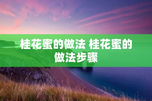 桂花蜜的做法 桂花蜜的做法步骤