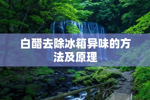 白醋去除冰箱异味的方法及原理