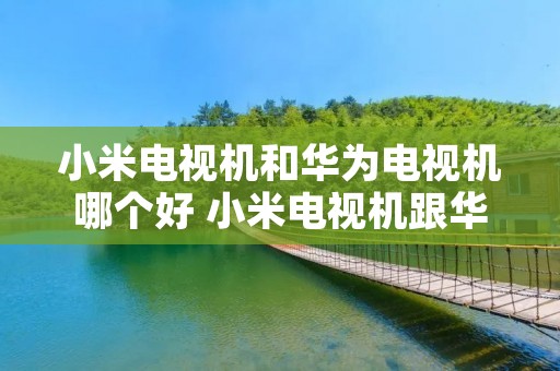 小米电视机和华为电视机哪个好 小米电视机跟华为电视机哪个好