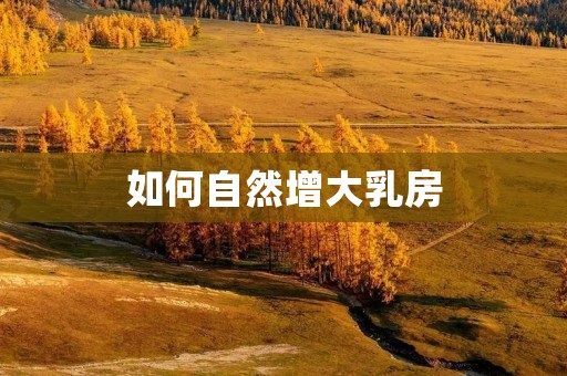 如何自然增大乳房