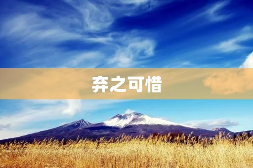 弃之可惜:珍贵文物的保护与传承