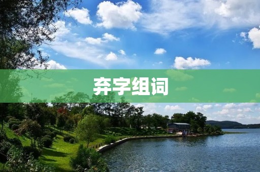 弃字组词:重新审视弃字的意义与价值