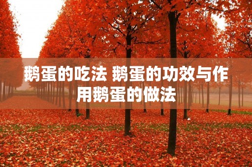 鹅蛋的吃法 鹅蛋的功效与作用鹅蛋的做法
