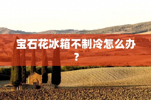 宝石花冰箱不制冷怎么办？