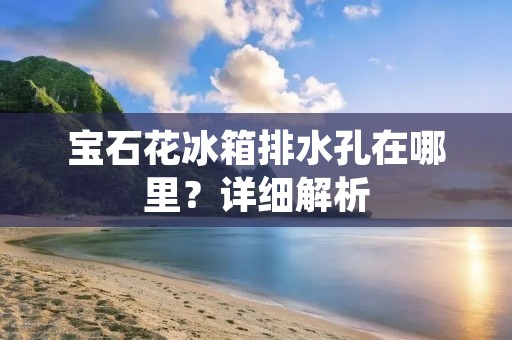 宝石花冰箱排水孔在哪里？详细解析