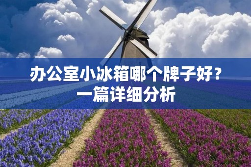 办公室小冰箱哪个牌子好？一篇详细分析