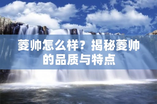菱帅怎么样？揭秘菱帅的品质与特点