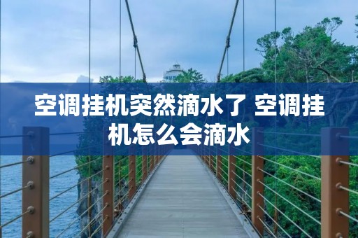 空调挂机突然滴水了 空调挂机怎么会滴水