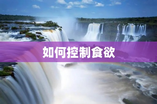 如何控制食欲:有效方法与技巧