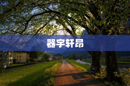 器宇轩昂:优雅与自信的象征