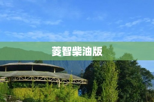 菱智柴油版：高效动力与卓越操控的完美结合