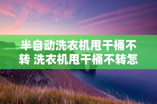 半自动洗衣机甩干桶不转 洗衣机甩干桶不转怎么修