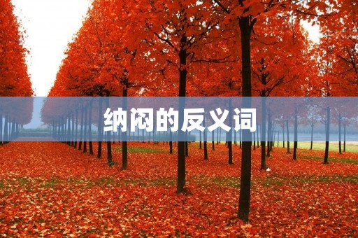纳闷的反义词：明了与领悟