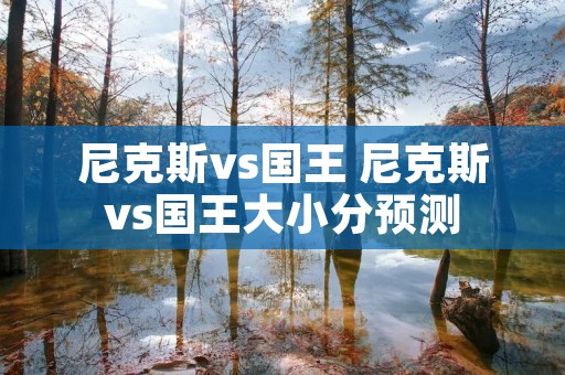 尼克斯vs国王 尼克斯vs国王大小分预测