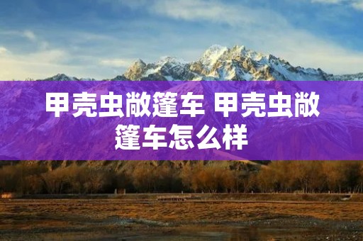 甲壳虫敞篷车 甲壳虫敞篷车怎么样 甲壳虫敞篷车 甲壳虫敞篷车怎么样