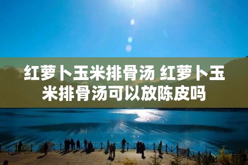 红萝卜玉米排骨汤 红萝卜玉米排骨汤可以放陈皮吗