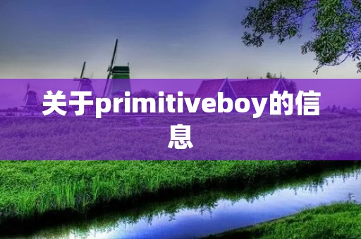 关于primitiveboy的信息