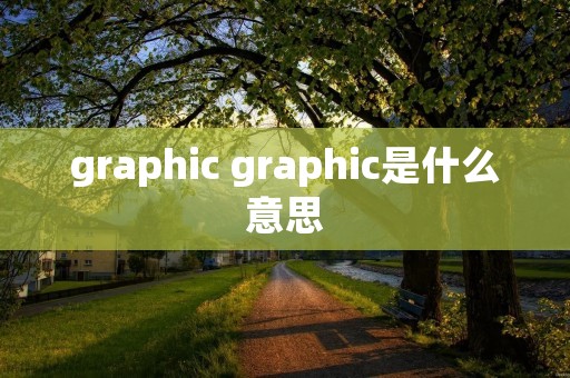 graphic graphic是什么意思