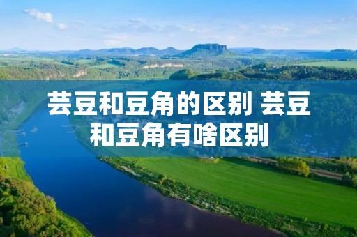 芸豆和豆角的区别 芸豆和豆角有啥区别