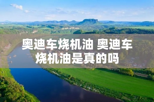 奥迪车烧机油 奥迪车烧机油是真的吗