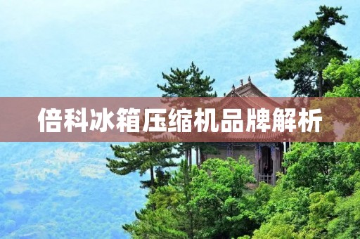 倍科冰箱压缩机品牌解析