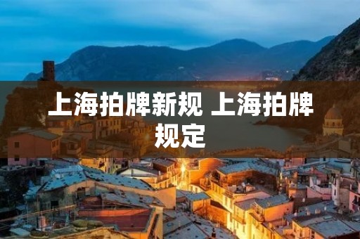 上海拍牌新规 上海拍牌规定 上海拍牌新规 上海拍牌规定