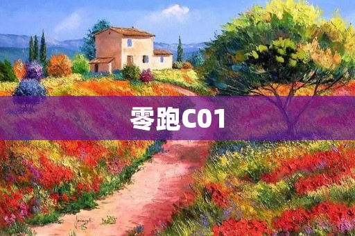 零跑C01：开启电动汽车新时代