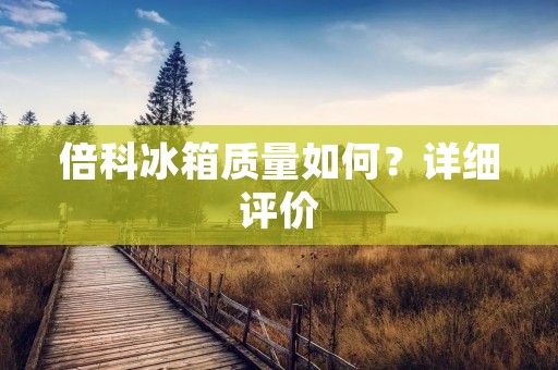 倍科冰箱质量如何？详细评价