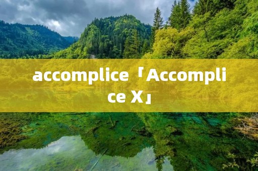 accomplice「Accomplice X」