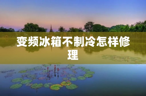 变频冰箱不制冷怎样修理