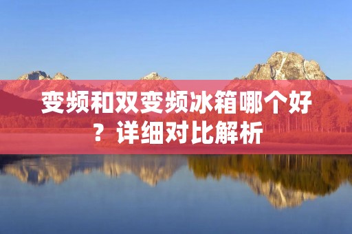 变频和双变频冰箱哪个好?详细对比解析 变频和双变频冰箱哪个好?详细对比解析