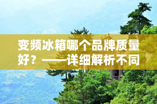 变频冰箱哪个品牌质量好?——详细解析不同品牌的优势与劣势