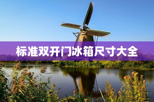 标准**门冰箱尺寸大全