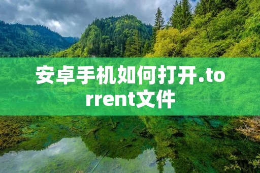 安卓手机如何打开.torrent文件