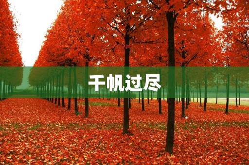 千帆过尽:寻觅生命中的美好旅程