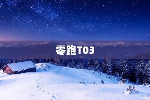 零跑T03:革命性的电动汽车 零跑T03:革命性的电动汽车