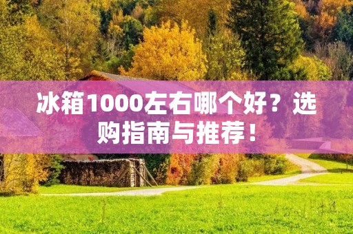 冰箱1000左右哪个好？选购指南与推荐！